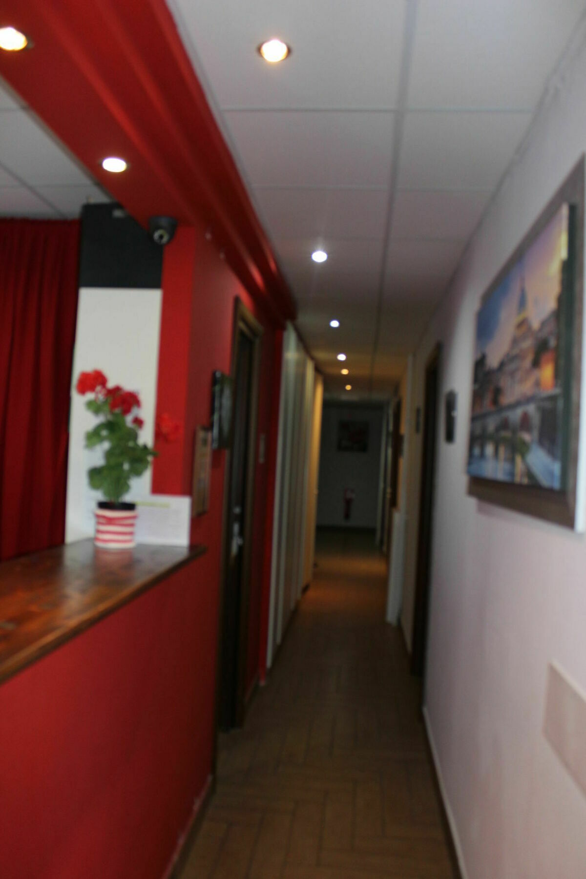 Mr. Charlie Brown Hotel Рим Екстериор снимка
